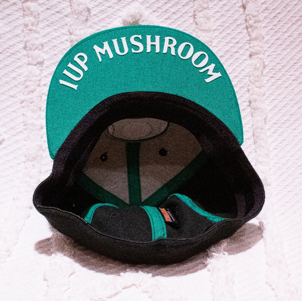 1up Mushroom Nintendo